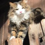 20210508_164526 - Kopiert